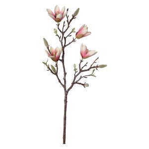 Magnolia gałązka 59 cm różowa 52258 Magnolia gałązka 59 cm różowa 52258