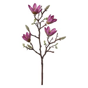Magnolia gałązka 59 cm różowa 52257 Magnolia gałązka 59 cm różowa 52257