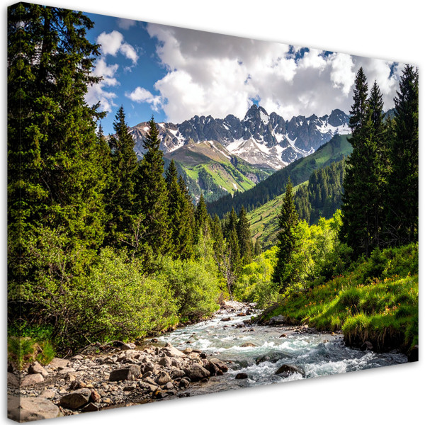 Obraz do salonu sypialni biura, Krajobraz góry las rzeka natura 60x40 890107