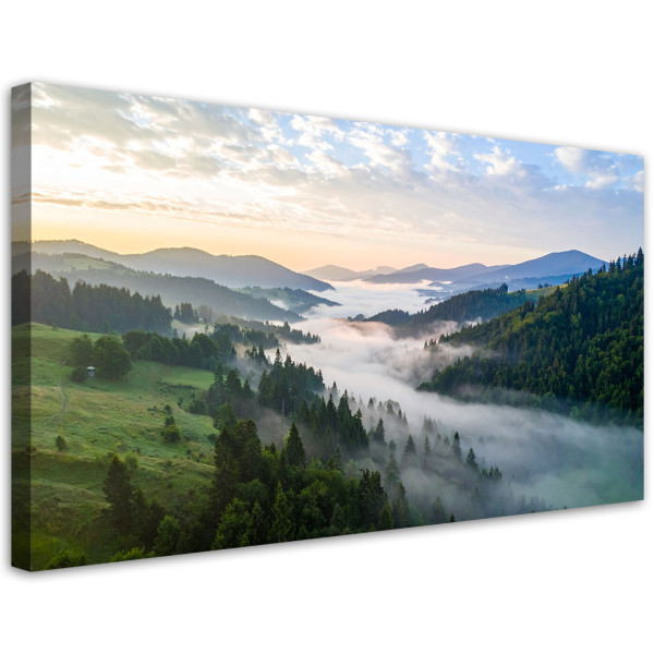Obraz do salonu sypialni biura, Krajobraz góry we mgle natura 120x60 886521