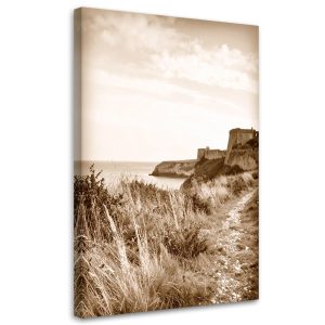 Obraz do salonu sypialni biura, Krajobraz morski sepia klif skały 80×120 885067 Obraz do salonu sypialni biura, Krajobraz morski sepia klif skały 80×120 885067