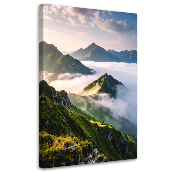 Obraz do salonu sypialni biura, Krajobraz widok góry we mgle 30x45 889759
