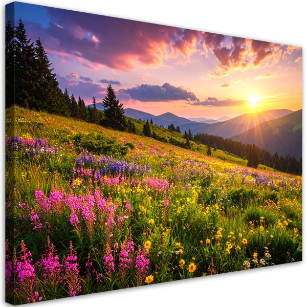 Obraz do salonu sypialni biura, Łąka kwiaty pejzaż górski natura 60x40 884286