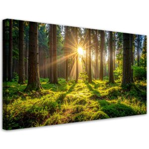 Obraz do salonu sypialni biura, Las drzewa wschód słońca 80×40 886862 Obraz do salonu sypialni biura, Las drzewa wschód słońca 80×40 886862