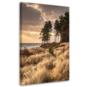 Obraz do salonu sypialni biura loftu, Widok Plaża Wydmy i Morze 30×45 890448 Obraz do salonu sypialni biura loftu, Widok Plaża Wydmy i Morze 30×45 890448