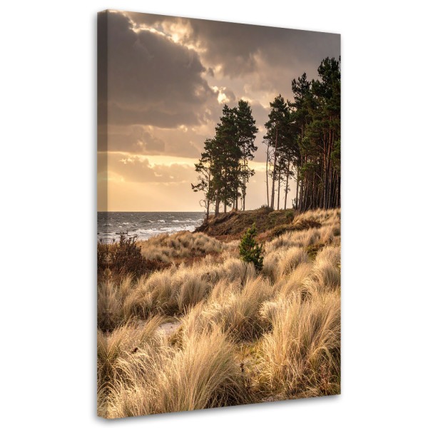 Obraz do salonu sypialni biura loftu, Widok Plaża Wydmy i Morze 80x120 885993