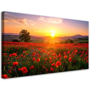 Obraz do salonu sypialni biura, Maki na łące zachód słońca 120×60 890503 Obraz do salonu sypialni biura, Maki na łące zachód słońca 120×60 890503