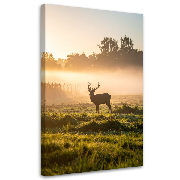 Obraz do salonu sypialni biura Pejzaż, Jeleń na rykowisku we mgle 20x30 890748