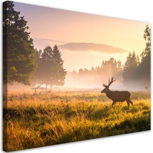 Obraz do salonu sypialni biura, Pejzaż Jeleń na rykowisku we mgle 90×60 884413 Obraz do salonu sypialni biura, Pejzaż Jeleń na rykowisku we mgle 90×60 884413