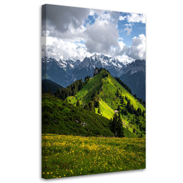 Obraz do salonu sypialni biura, Pejzaż widok góry las natura 40x60 884459