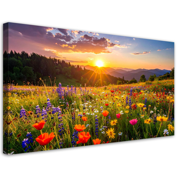 Obraz do salonu sypialni biura, Polne kwiaty na łace natura 80x40 886496