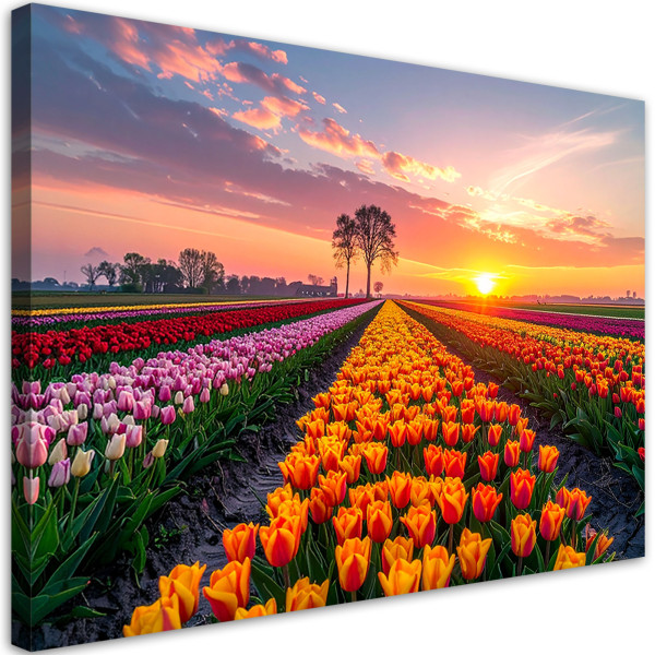 Obraz do salonu sypialni biura, Tulipany kwiaty łąka widok 100x70 888980