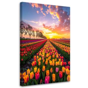 Obraz do salonu sypialni biura, Tulipany kwiaty łąka widok 40×60 884285 Obraz do salonu sypialni biura, Tulipany kwiaty łąka widok 40×60 884285