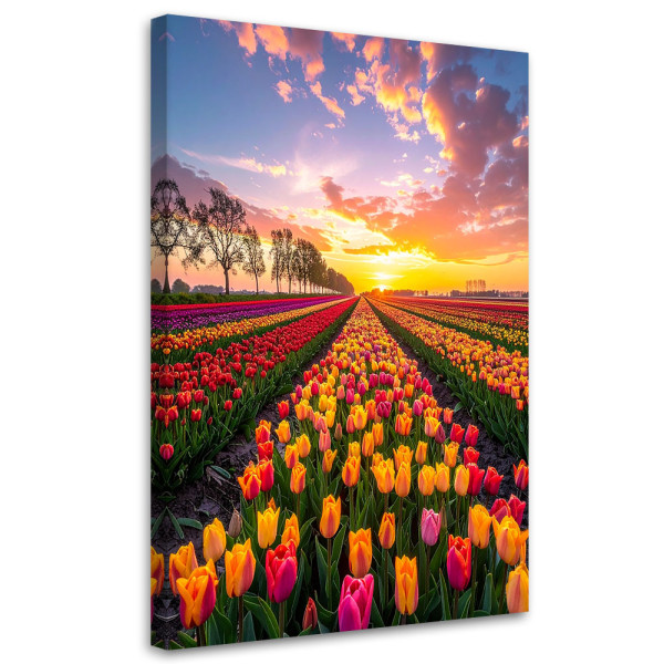 Obraz do salonu sypialni biura, Tulipany kwiaty łąka widok 70x100 885886