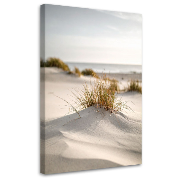 Obraz do salonu sypialni jadalni, Plaża morze wydmy natura rośliny 80x120 778050