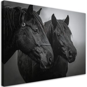 Obraz do salonu sypialni kuchni biura, Czarne głowy koni 120×80 998588 Obraz do salonu sypialni kuchni biura, Czarne głowy koni 120×80 998588