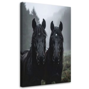Obraz do salonu sypialni kuchni biura, Czarne głowy koni 30×45 999271 Obraz do salonu sypialni kuchni biura, Czarne głowy koni 30×45 999271