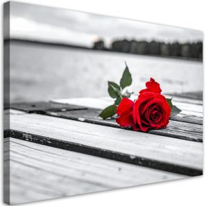 Obraz do salonu sypialni kuchni biura, Czerwona róża na pomoście 100×70 1000057 Obraz do salonu sypialni kuchni biura, Czerwona róża na pomoście 100×70 1000057