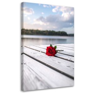 Obraz do salonu sypialni kuchni biura, Czerwona róża na pomoście 40×60 995780 Obraz do salonu sypialni kuchni biura, Czerwona róża na pomoście 40×60 995780