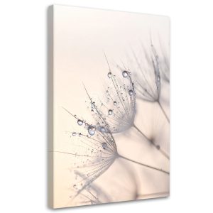 Obraz do salonu sypialni kuchni biura, Dmuchawce rośłiny kwiaty rosa 60×90 996014 Obraz do salonu sypialni kuchni biura, Dmuchawce rośłiny kwiaty rosa 60×90 996014