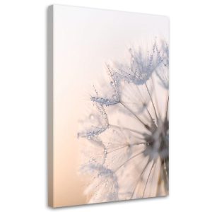 Obraz do salonu sypialni kuchni biura, Dmuchawce rośłiny rosa natura 20×30 996061 Obraz do salonu sypialni kuchni biura, Dmuchawce rośłiny rosa natura 20×30 996061