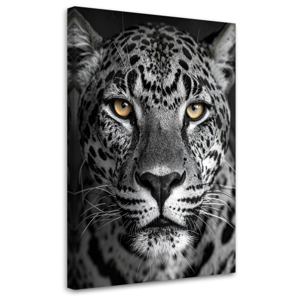 Obraz do salonu sypialni kuchni biura, Jaguar zwierzęta natura 40x60 999052