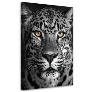 Obraz do salonu sypialni kuchni biura, Jaguar zwierzęta natura 60×90 1000124