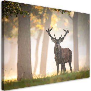 Obraz do salonu sypialni kuchni biura, Jeleń las we mgle krajobraz 45×30 996060