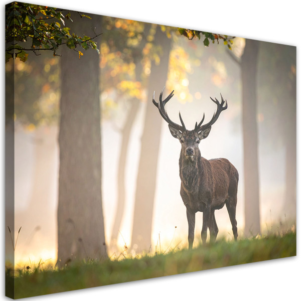 Obraz do salonu sypialni kuchni biura, Jeleń las we mgle krajobraz 90x60 995610