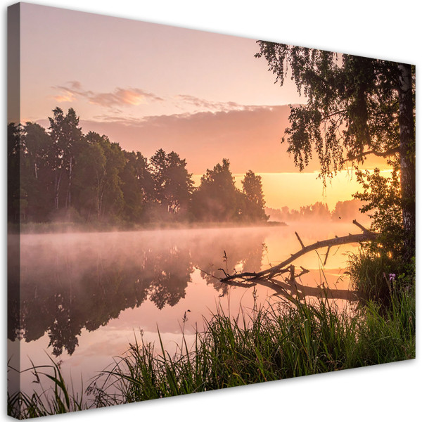 Obraz do salonu sypialni kuchni biura, Jezioro las we mgle krajobraz 120x80 995721
