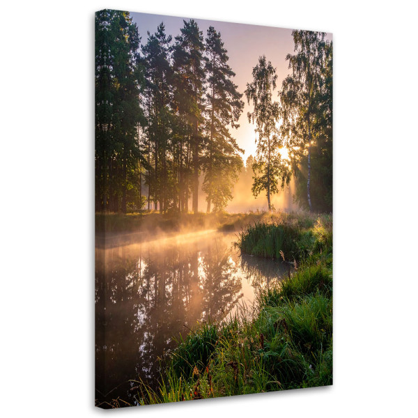 Obraz do salonu sypialni kuchni biura, Jezioro las we mgle krajobraz 80x120 995706