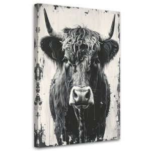 Obraz do salonu sypialni kuchni biura, Krowa szkocka czarno biała 80×120 998966 Obraz do salonu sypialni kuchni biura, Krowa szkocka czarno biała 80×120 998966