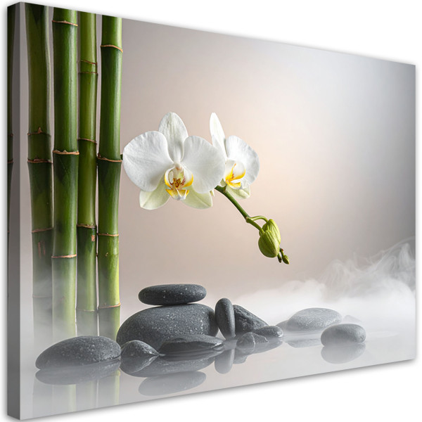 Obraz do salonu sypialni kuchni biura, Kwiat orchideii kamienie 100x70 997986