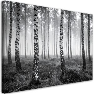 Obraz do salonu sypialni kuchni biura, Las brzozowy mgła czarno 60×40 997335 Obraz do salonu sypialni kuchni biura, Las brzozowy mgła czarno 60×40 997335