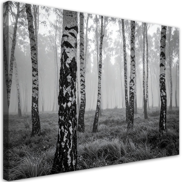 Obraz do salonu sypialni kuchni biura loftu, Las brzozowy czarno 120x80 996554