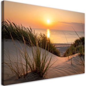 Obraz do salonu sypialni kuchni biura, Plaża morze wydmy pejzaż 60×40 998271