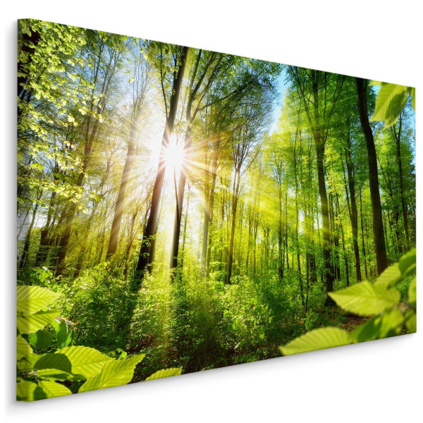 Obraz do Sypialni Wschód Słońca w Lesie 3D 40x30cm 784956