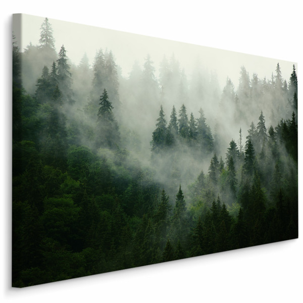 Obraz Drzewa We Mgle 3D 40x30cm 106910