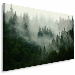 Obraz Drzewa We Mgle 3D 90x60cm 106848 Obraz Drzewa We Mgle 3D 90x60cm 106848
