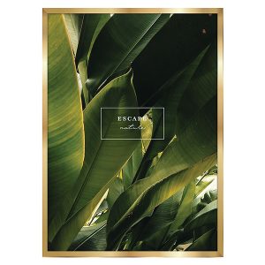 Obraz Escape Nature 27566