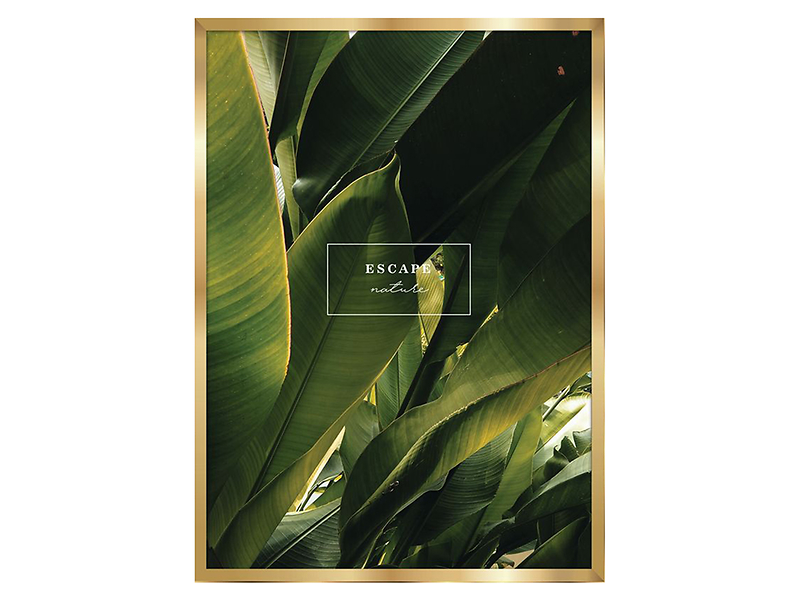 Obraz Escape Nature 27566