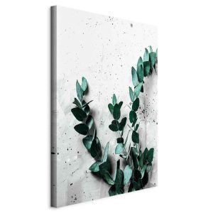 Obraz Eukaliptusowy zapach 40 x 60 cm 607088 Obraz Eukaliptusowy zapach 40 x 60 cm 607088