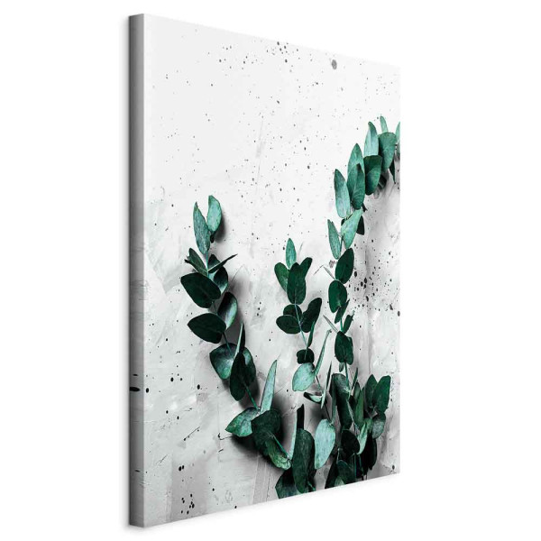 Obraz Eukaliptusowy zapach 40 x 60 cm 607088