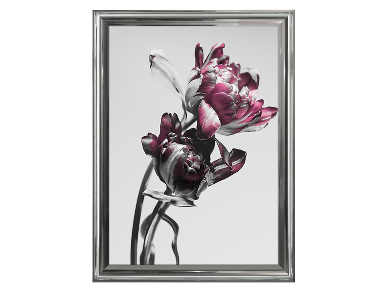 Obraz Floral Model 50x70 cm 49512
