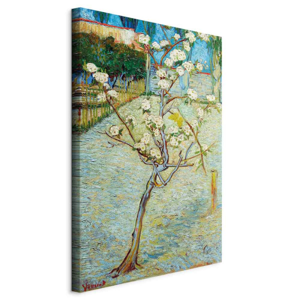 Obraz Grusza 40 x 60 cm 606992