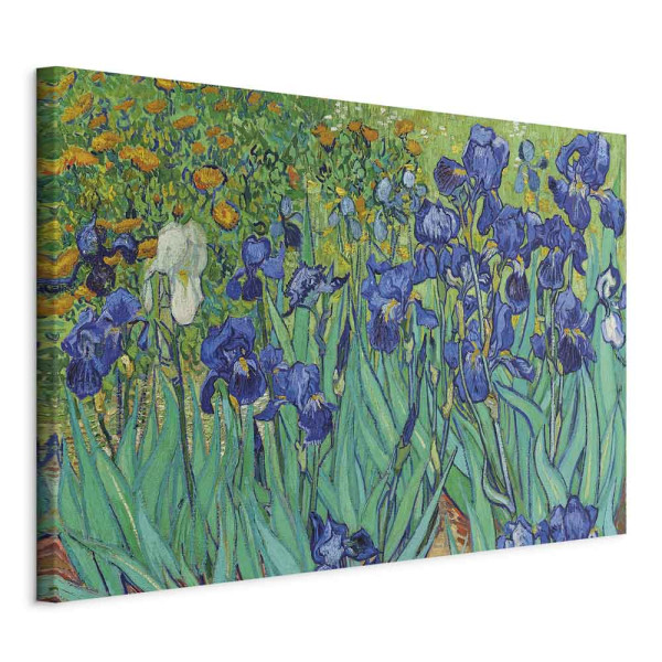 Obraz Irysy 60 x 40 cm 599511