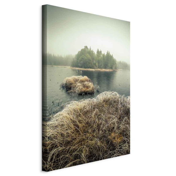 Obraz Jesień na mokradłach 60 x 90 cm 601845