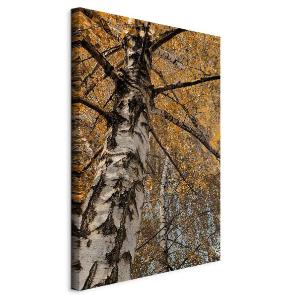Obraz Jesienna kolorystyka 40 x 60 cm 592786