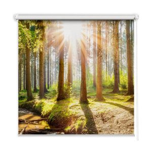 Roleta wewnętrzna – 120×180 cm -Promienie słońca w drzewach 467223 Roleta wewnętrzna – 120×180 cm -Promienie słońca w drzewach 467223