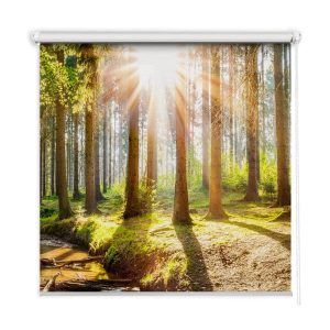 Roleta wewnętrzna – 130×140 cm -Promienie słońca w drzewach 467033 Roleta wewnętrzna – 130×140 cm -Promienie słońca w drzewach 467033